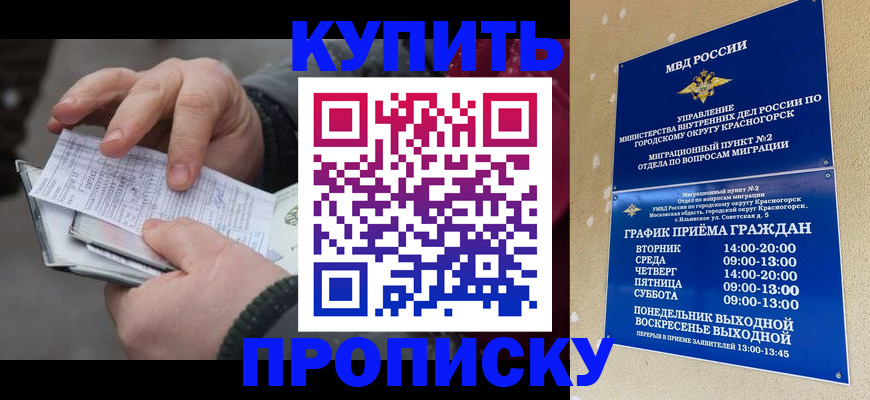 временная регистрация недорого в Волосово
